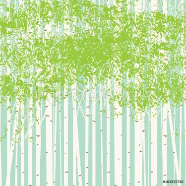 Vector seamless texture with the image of the birch trees on blue sky background. Spring birch forest vector background. The picture birch grove.