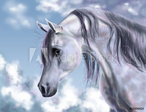 White horse on clouds backgraund - 900458839
