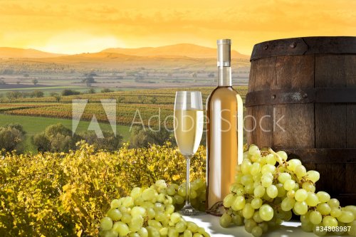 white wine on vineyard - 900464204