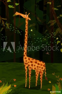 Wild animal Giraffe in jungle forest background
