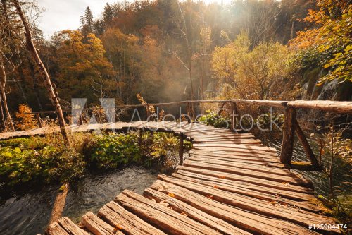 Wooden bridge through the river in autumn season - 901147963