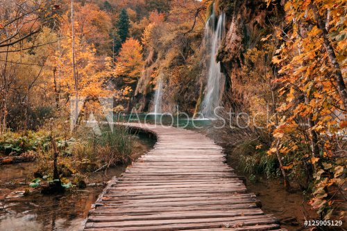 Wooden bridge through the river in autumn season - 901147964