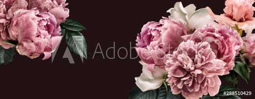 Floral banner, flower cover or header with vintage bouquets. Pink peonies, wh... - 901156326