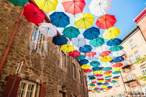 Lot of Umbrellas in Petit Champlain street Quebec city - 901156398