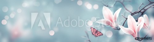 Mysterious spring background with pink magnolia flowers and flying butterfly