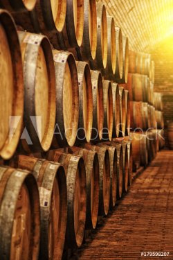 Wine barrels in wine-vaults in order - 901156416