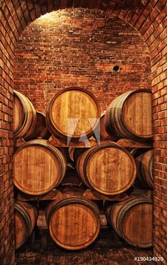 Wine barrels in wine-vaults in order - 901156418