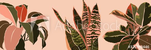 Art collage houseplant leaves in a minimal trendy style. Silhouette of sansev... - 901156508