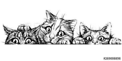 black and white hand-drawn sketch depicting three cute cats looking at a hori... - 901156611