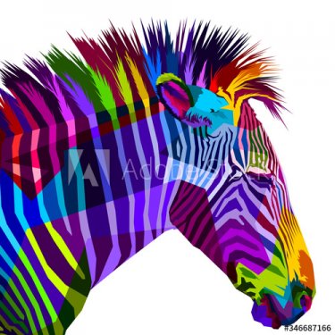 colorful zebra isolated on white background - 901156595