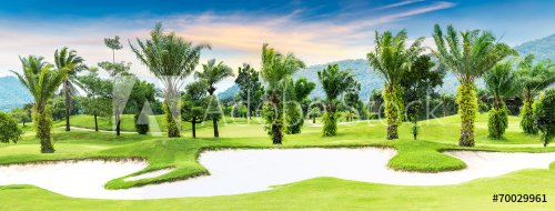 Terrain de golf avec palmiers - 901156580
