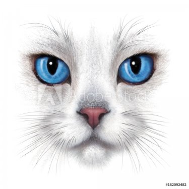 hand-drawing portrait of white cat