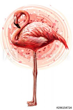 Pink flamingo. Hand-drawn, artistic, flowered image of a flamingo bird on a w... - 901156617
