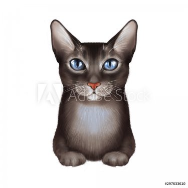 Black cat, isolated on white. Cute animal illustration