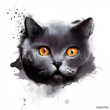 Portrait of beautiful British Shorthair breed cat, with bright orange eyes is... - 901156681