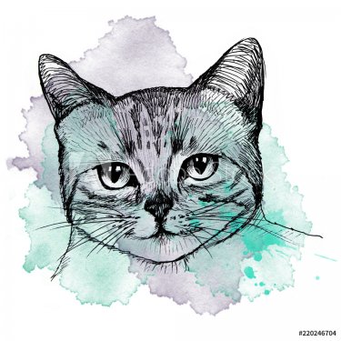 Sketch of a cat's head with spots of watercolor background