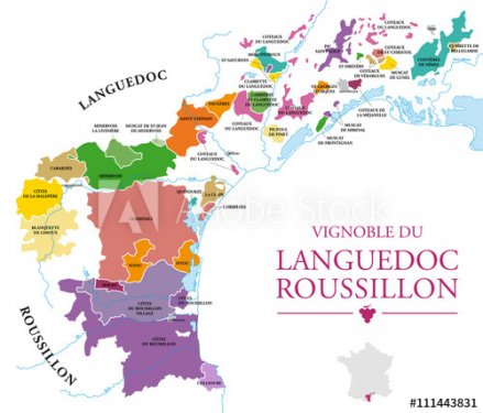 Carte du Vignoble du Languedoc-Roussillon - 901156760