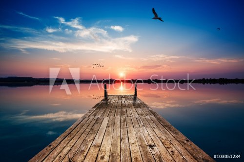 Perfectly specular reflection on the pond at sunset with seagull - 901156781
