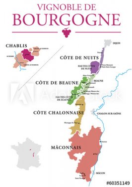 Vignoble de Bourgogne - 901156759