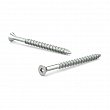 Reliable - FKNPZ6112VP - Zinc-Plated Wood Screw, Flat Head With Nibs, Square Drive, Hi-Low Thread, Regular Wood Point - Size: 6 - Length: 1-1/2 - Zinc - Square n. 1 - Box of 100