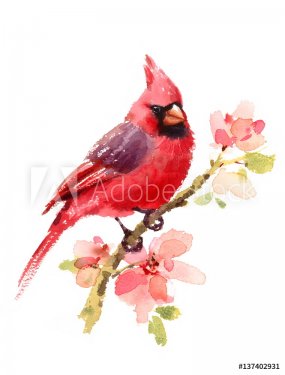 Cardinal Red Bird On a Branch with Flowers Watercolor Hand Drawn Summer Illus... - 901156824