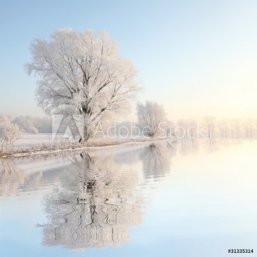 Frosty winter tree against a blue sky with reflection in water - 901156888