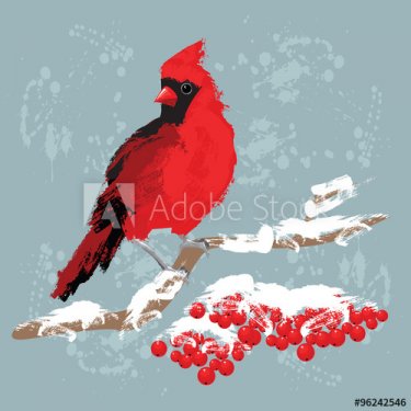 Red bird cardinal on branch with berries. Red berries under snow.