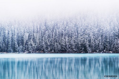 Scenic Winter Landscape