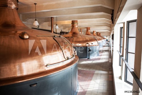Copper brewing vats for fermentation - 901156915