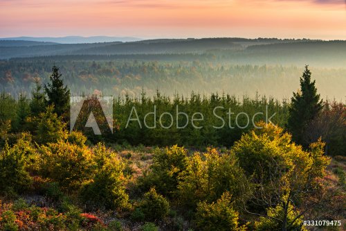View over Endless Forest at sunrise in Autumn, Ore Mountains, Czechia
