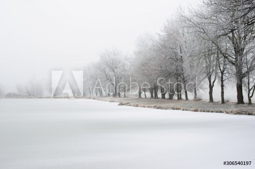white, frozen landscape with lake and trees