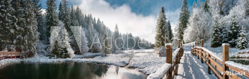 Winter forest in the Carpathians - 901156906