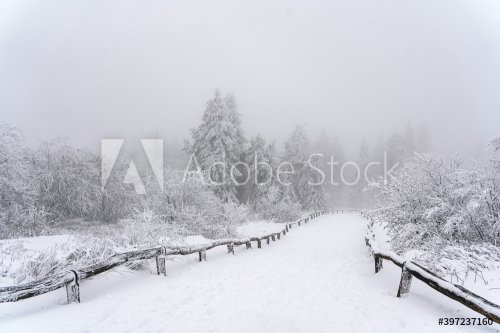 winter landscape - lots of snow in the walt - 901156902