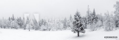 Winter landscape. Taganay national Park, Chelyabinsk region, South Ural, Russia - 901156905