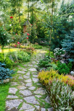 Path in the garden - 901156954