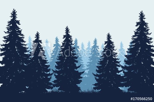 Vector realistic illustration of coniferous forest with grass under winter blue sky