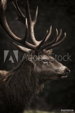 Stag III