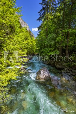 Mountain wild river landscape. River valley in mountains. Wild mountain river panorama. Small waterfall in forest stream.