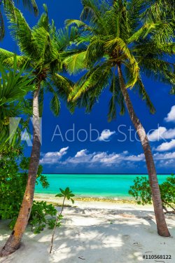Two palm trees framing a beach entrance to tropical blue lagoon - 901157113