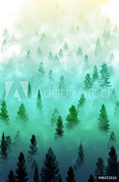 Paysage de forêt brumeuse - 901157114