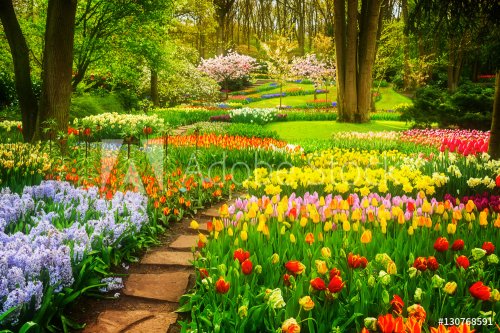 Colourful Tulips Flowerbeds and Stone Path in an Spring Formal Garden, retro toned