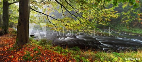 Foggy autumn or summer landscape. Misty foggy morning with river with rays of light in a valley of Bohemian Switzerland park. Detail of forest, landscape of Czech Republic, beautiful national park