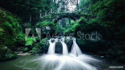 Scenic View Of Waterfall In Forest - 901157214