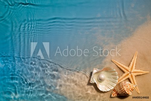 Starfish and seashell on summer beach in sea water. Summer background
