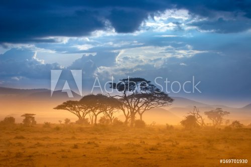 African Savannah. The foot of Mount Kilimanjaro. - 901157278