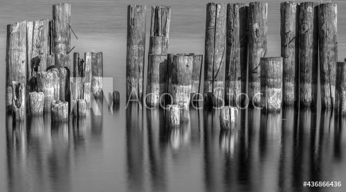 Posts of an Old Pier along the St. Lawrence River - 901157303