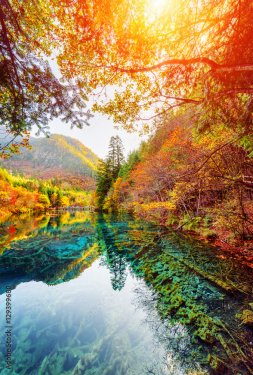 The Five Flower Lake among fall woods, Jiuzhaigou nature reserve - 901157419