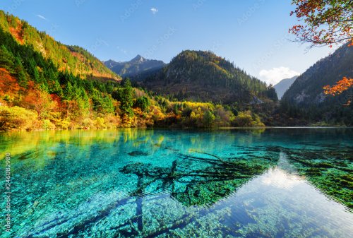 Amazing colorful autumn forest reflected in the Five Flower Lake - 901157420