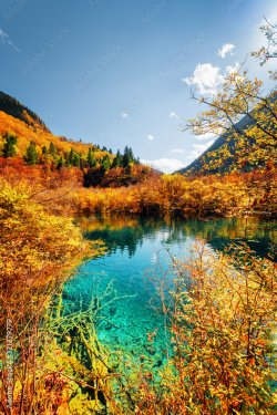 Autumn forest reflected in amazing pond with azure water - 901157421