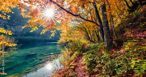Beautiful autumn scenery. Sunny morning view of pure water river in Plitvice National Park. Amazing autumn scene of Croatia, Europe.